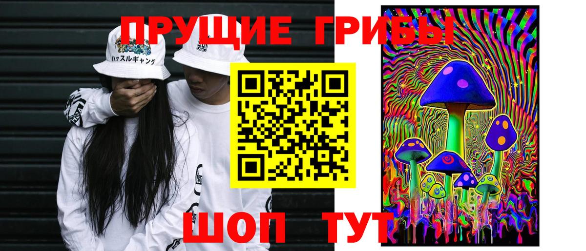 Псилоцибиновые грибы мицелий Богородицк