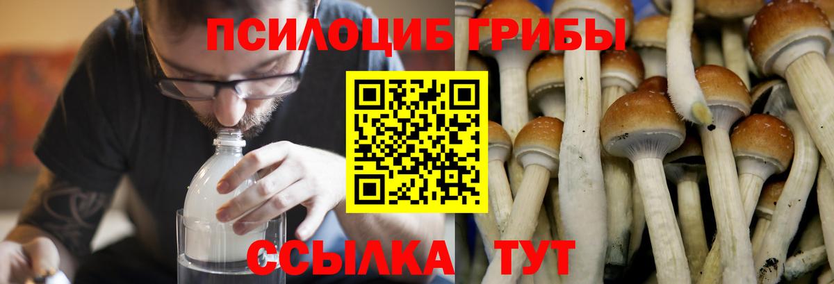  Cocaine Богородицк